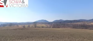 Działka 1 600,00 m², Olszyniec, Sprzedaż