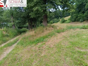 Działka 21 800,00 m², Pogorzała, Sprzedaż