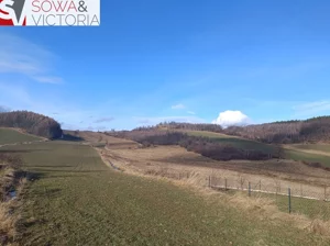 Działka 46 967,00 m², Pogorzała, Sprzedaż