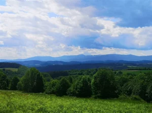 Działka 1 066,00 m², Radomice, Sprzedaż