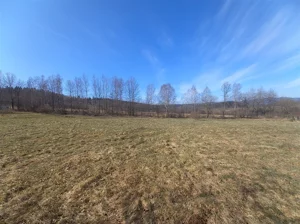 Działka 1 351,00 m², Sierpnica, Sprzedaż