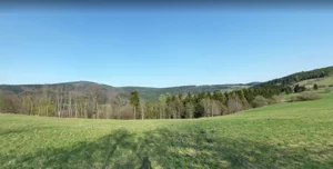 Działka 4 994,00 m², Sierpnica, Sprzedaż