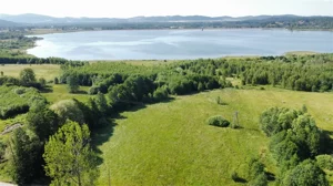 Działka 10 315,00 m², Sosnówka, Sprzedaż