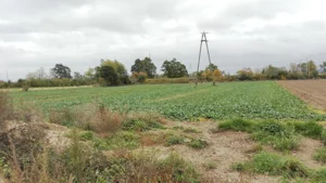 Działka 2 762,00 m², Świebodzice, Sprzedaż