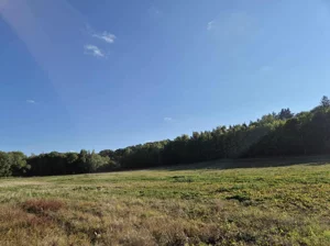 Działka 54 058,00 m², Świebodzice, Sprzedaż