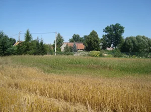 Działka 1 500,00 m², Szymanów, Sprzedaż