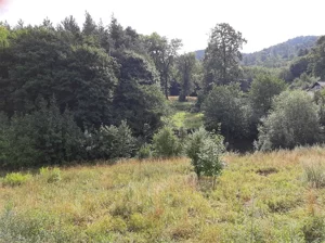 Działka 1 928,00 m², Wałbrzych, Podgórze, Sprzedaż