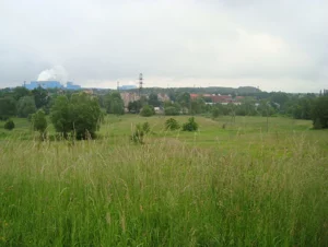 Działka 4 919,00 m², Wałbrzych, Szczawienko, Sprzedaż