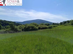 Działka 3 000,00 m², Walim, Sprzedaż