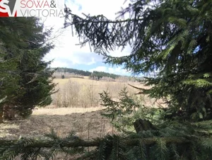 Działka 2 300,00 m², Walim, Sprzedaż