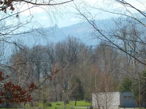 Działka 5 020,00 m², Wojcieszyce, Sprzedaż