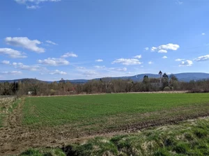 Działka 3 000,00 m², Wolimierz, Sprzedaż