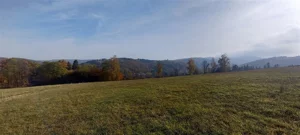 Działka 3 929,00 m², Zagórze Śląskie, Sprzedaż
