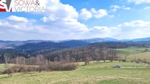 Działka 2 785,00 m², Zagórze Śląskie, Sprzedaż