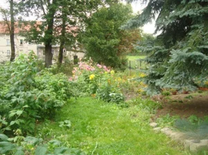 Lokal użytkowy 500,00 m², Wałbrzych, Biały Kamień, Sprzedaż