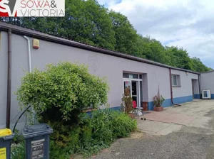 Lokal użytkowy 300,00 m², Wałbrzych, Śródmieście, Wynajem