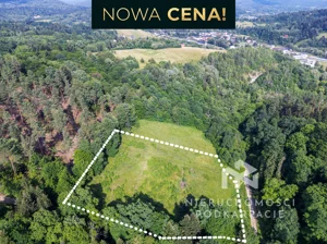 Działka 8 911,00 m², Olszanica, Sprzedaż