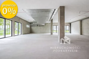 Lokal użytkowy 267,88 m², Rzeszów, Fryderyka Szopena, Wynajem