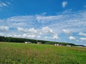 Działka 14 309,00 m², Długołęka, Sprzedaż