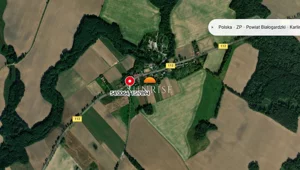 Działka 11 300,00 m², Malonowo, Sprzedaż