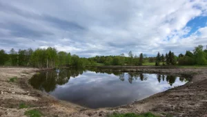 Działka 15 588,00 m², Skarszewy, Tęczowa Szczodrowo, Sprzedaż