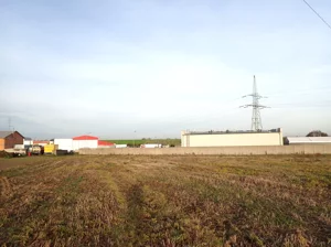 Działka 22 957,00 m², Kościan, Widziszewska, Sprzedaż