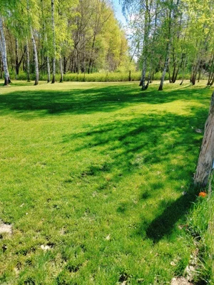 Działka 1 300,00 m², Pyskowice, Wiejska, Sprzedaż