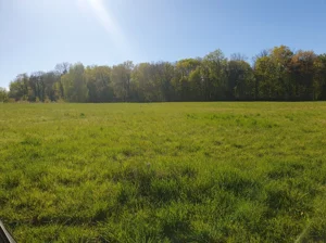 Działka 7 337,00 m², Myślibórz, Wierzbnica, Sprzedaż
