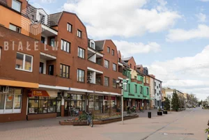 Dom kamienica 305,80 m², Grodzisk Mazowiecki, Sprzedaż