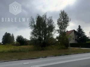 Działka 2 500,00 m², Łoziska, Fabryczna, Sprzedaż
