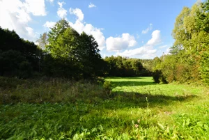 Działka 3 155,00 m², Błędowa Tyczyńska, Sprzedaż