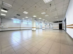 Lokal użytkowy 1 360,00 m², Rzeszów, Wynajem