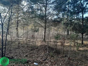 Działka 1 242,00 m², Osowiec, Sprzedaż