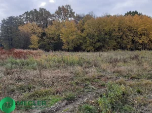 Działka 1 229,00 m², Rusiec, Sprzedaż