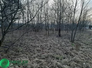 Działka 971,00 m², Żółwin, Sprzedaż