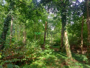 Działka 2 775,00 m², Milanówek, Sprzedaż