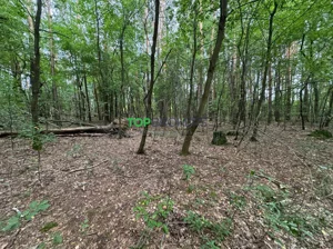 Działka 1 200,00 m², Nadarzyn, Sprzedaż