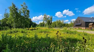 Działka 1 000,00 m², Słupice, Krajobrazowa, Sprzedaż