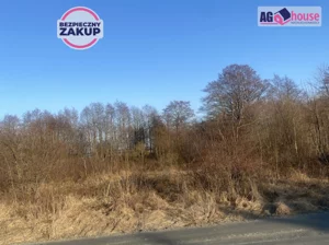 Działka 11 618,00 m², Władysławowo, Bohaterów Kaszubskich, Sprzedaż
