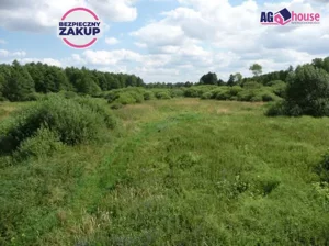 Działka 23 800,00 m², Ciechocin, Sprzedaż