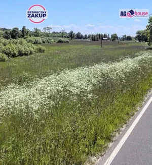 Działka 33 000,00 m², Maszewko, Sprzedaż