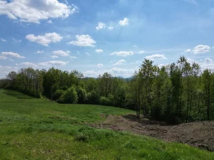 Działka 2 073,00 m², Dobczyce, Sprzedaż