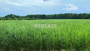Działka 12 972,00 m², Oborniki Śląskie, Sprzedaż