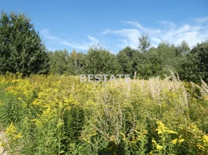 Działka 7 242,00 m², Tarnów, Sprzedaż