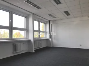 Lokal użytkowy 190,00 m², Pabianice, Wynajem