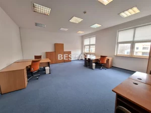 Lokal użytkowy 192,87 m², Pabianice, Wynajem