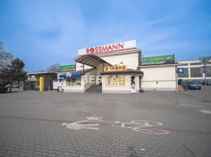 Lokal użytkowy 482,00 m², Tarnów, Wynajem