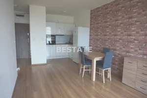 Mieszkanie dwupokojowe 38,70 m², Pabianice, Wynajem