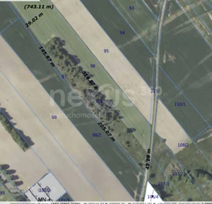 Działka 11 800,00 m², Łuczyna, Sprzedaż
