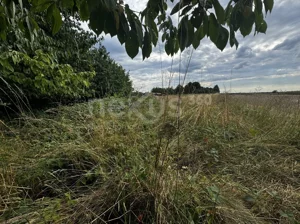 Działka 5 324,00 m², Sądrożyce, Sprzedaż